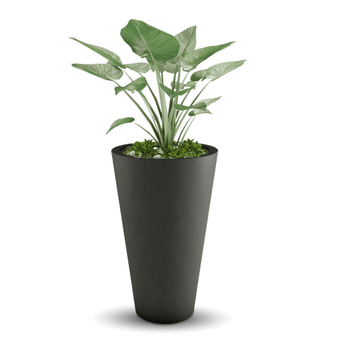 Cone Outdoor Planter