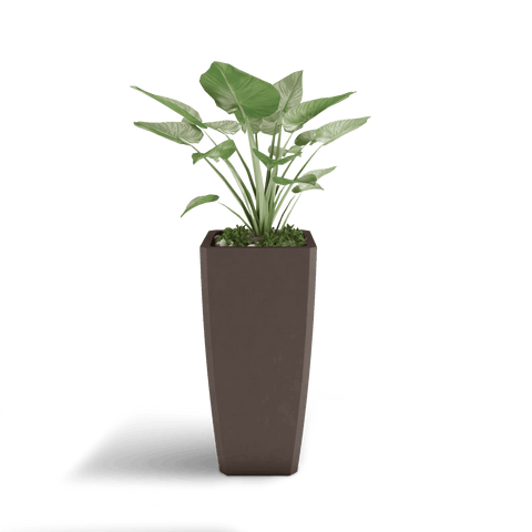 Quartet Planter
