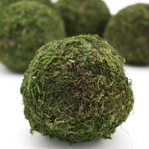 3" Moss Balls (set of 6)