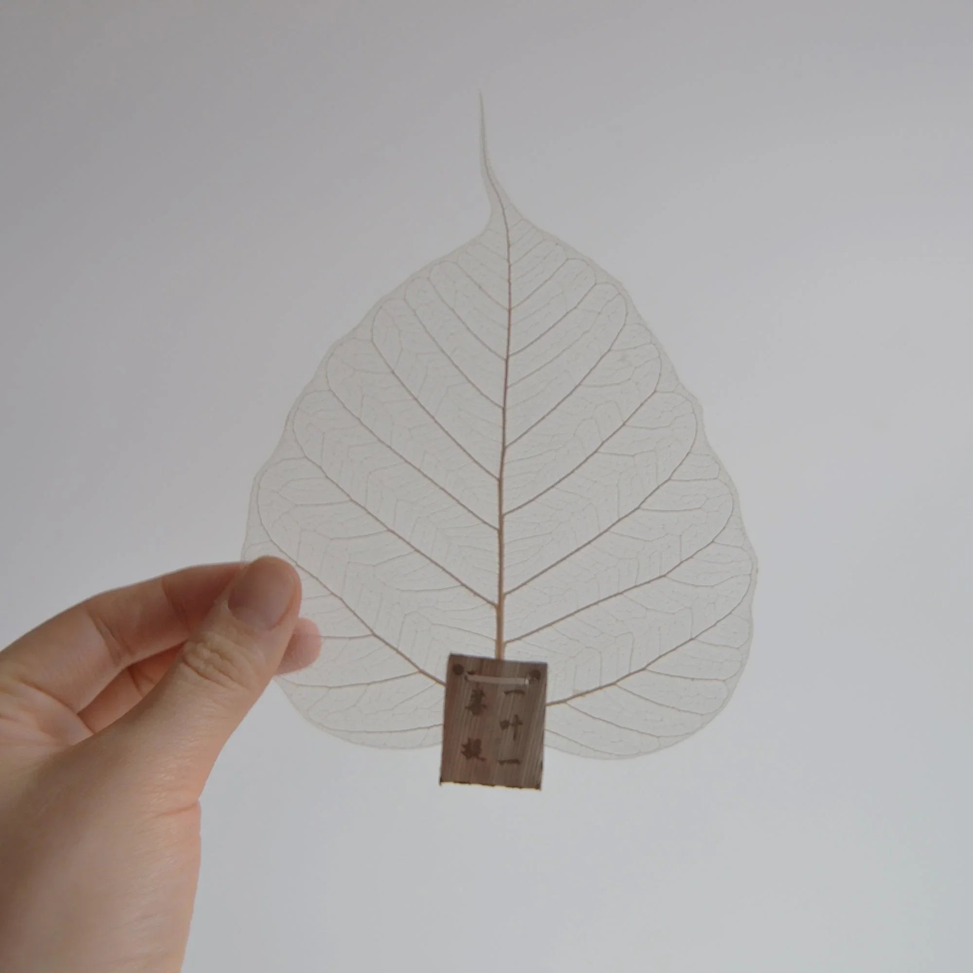 Natural Leaf Shape Tea Strainers