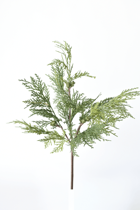16" Faux Cedar with Pod Stem