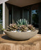 Oceanside Outdoor Shallow Planter