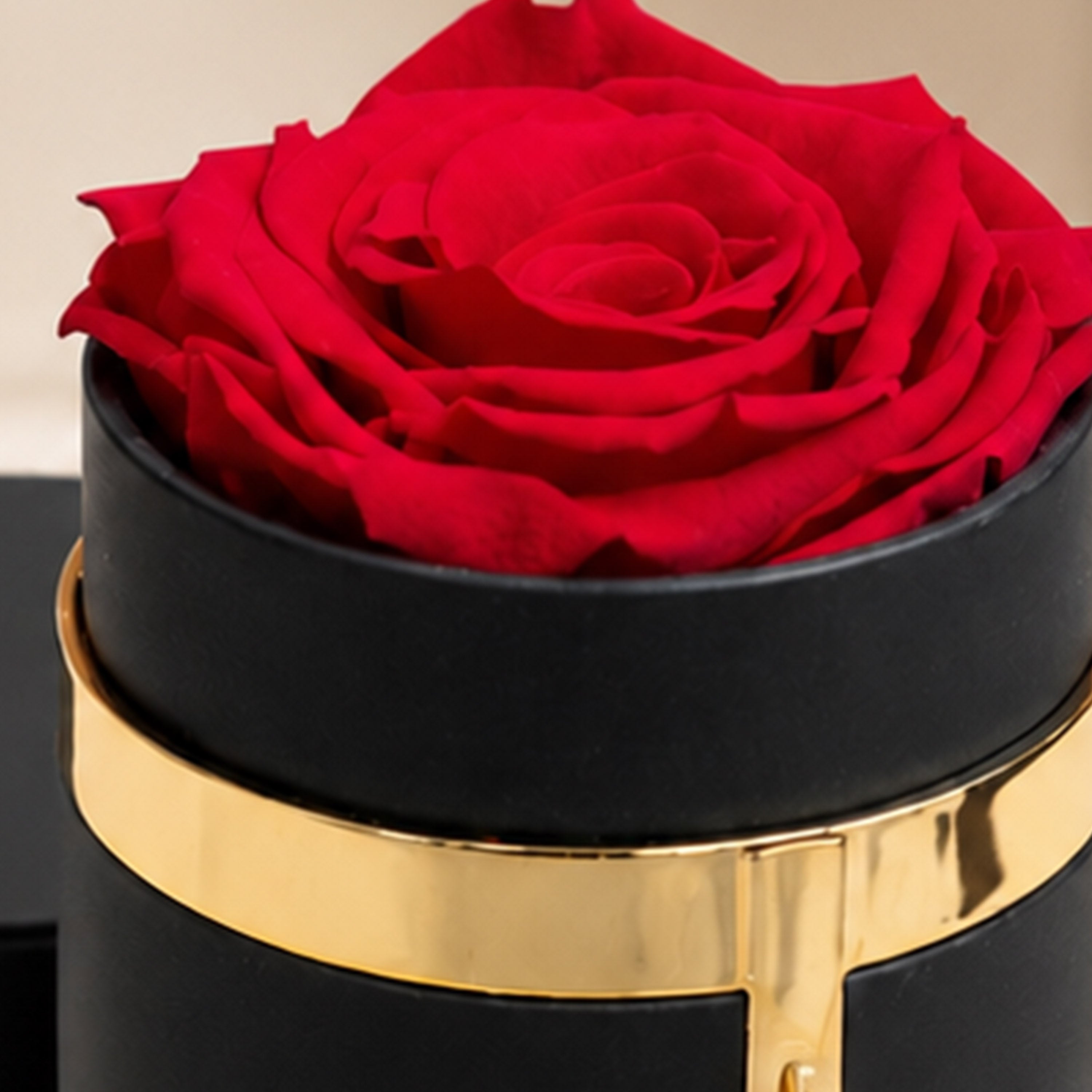 One in a Million™ Round Black Box | Charm Edition | Red Rose