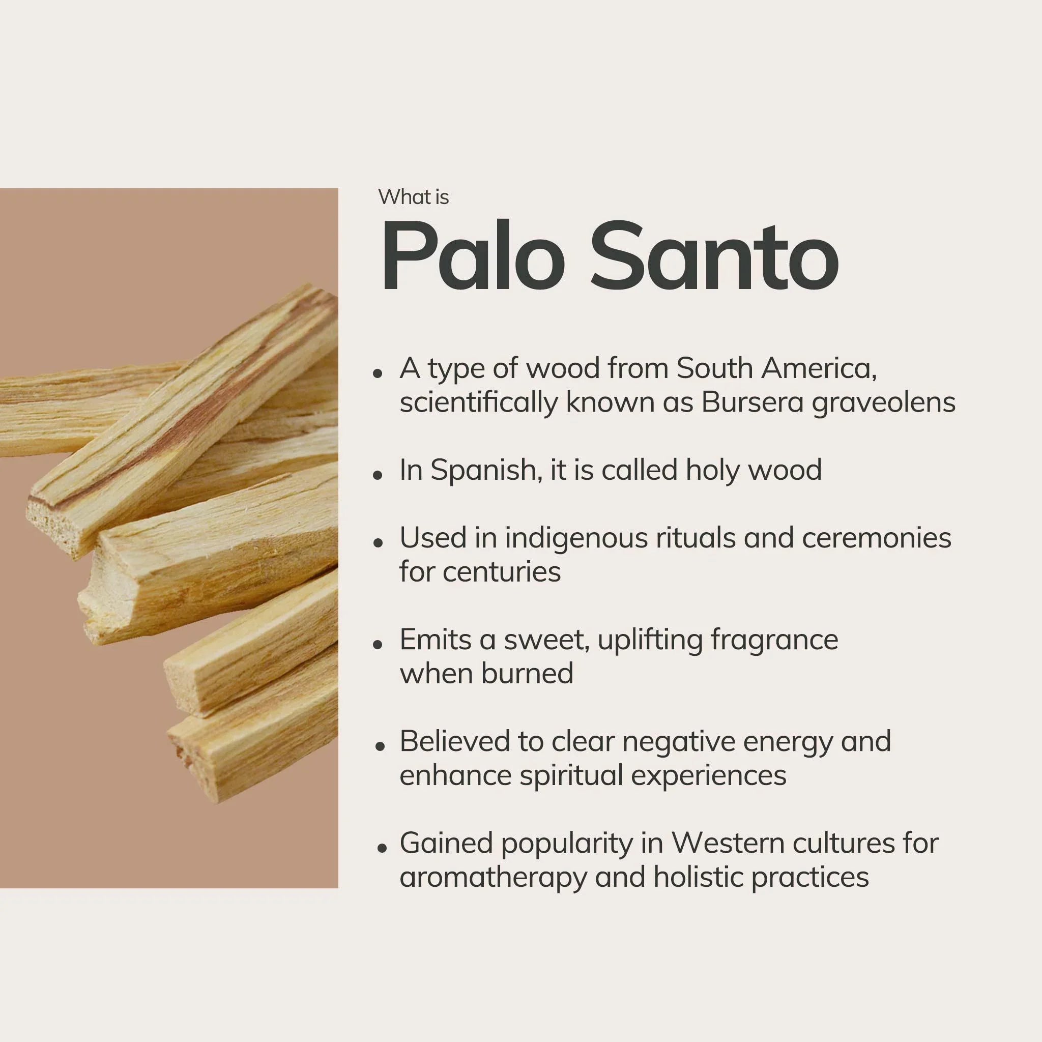 Palo Santo Incense Sticks – 30 Mini Hand-Rolled Sticks from Peru (4.2")