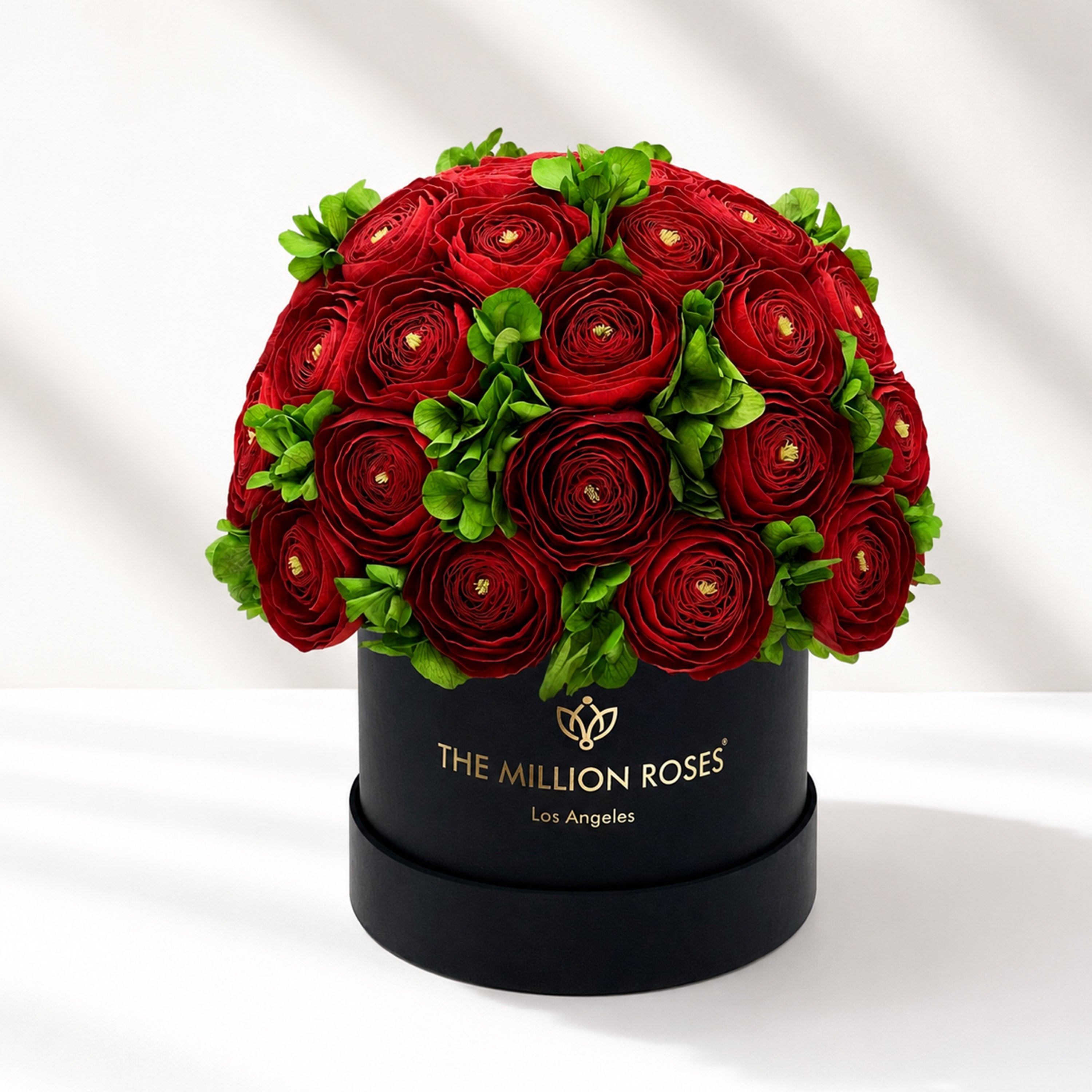Classic Black Box | Red Persian Buttercups & Green Hydrangeas