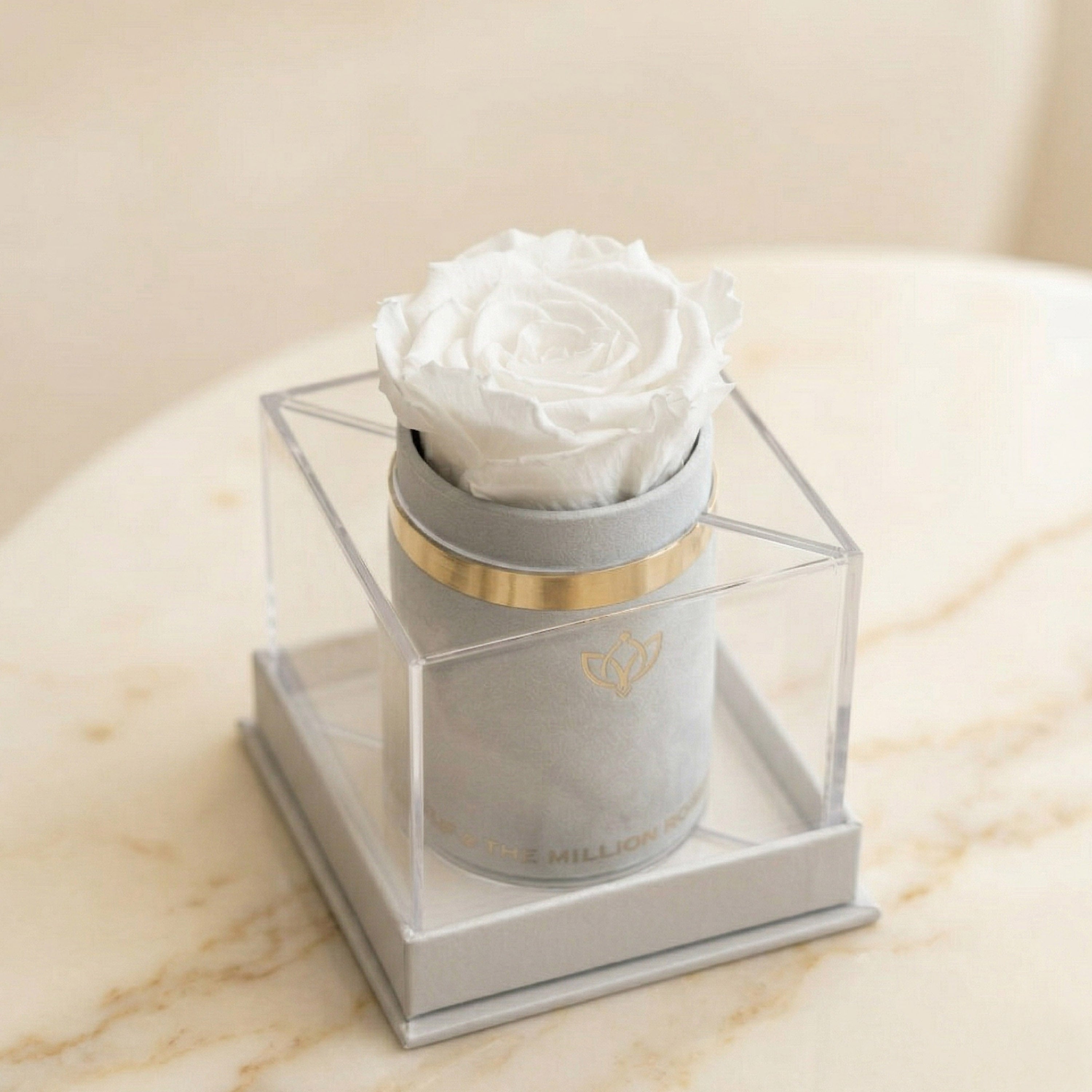 Single White Suede Box | White Rose