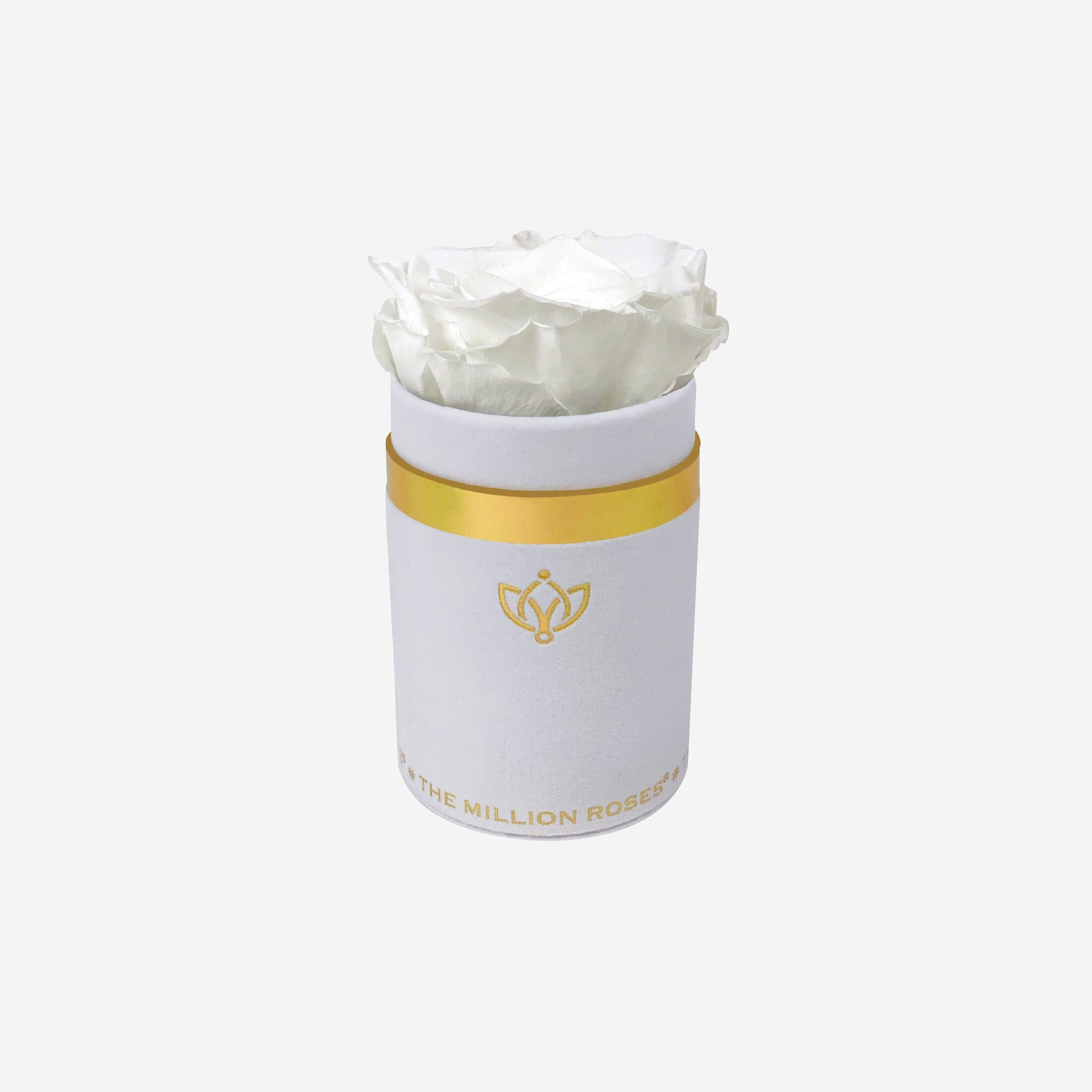 Single White Suede Box | White Rose
