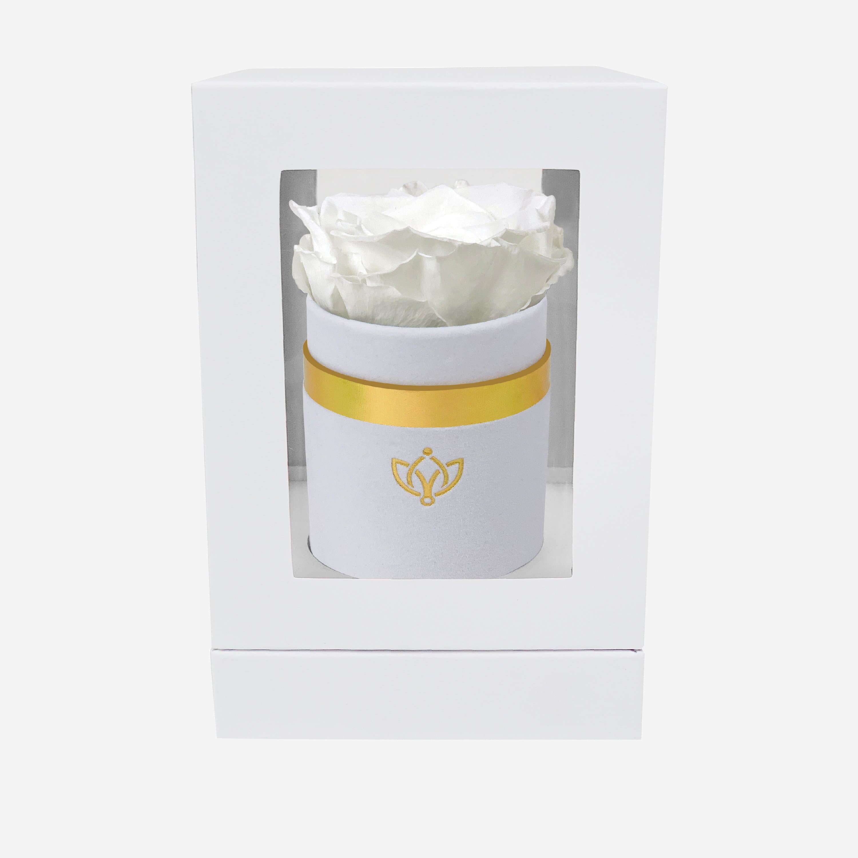 Single White Suede Box | White Rose