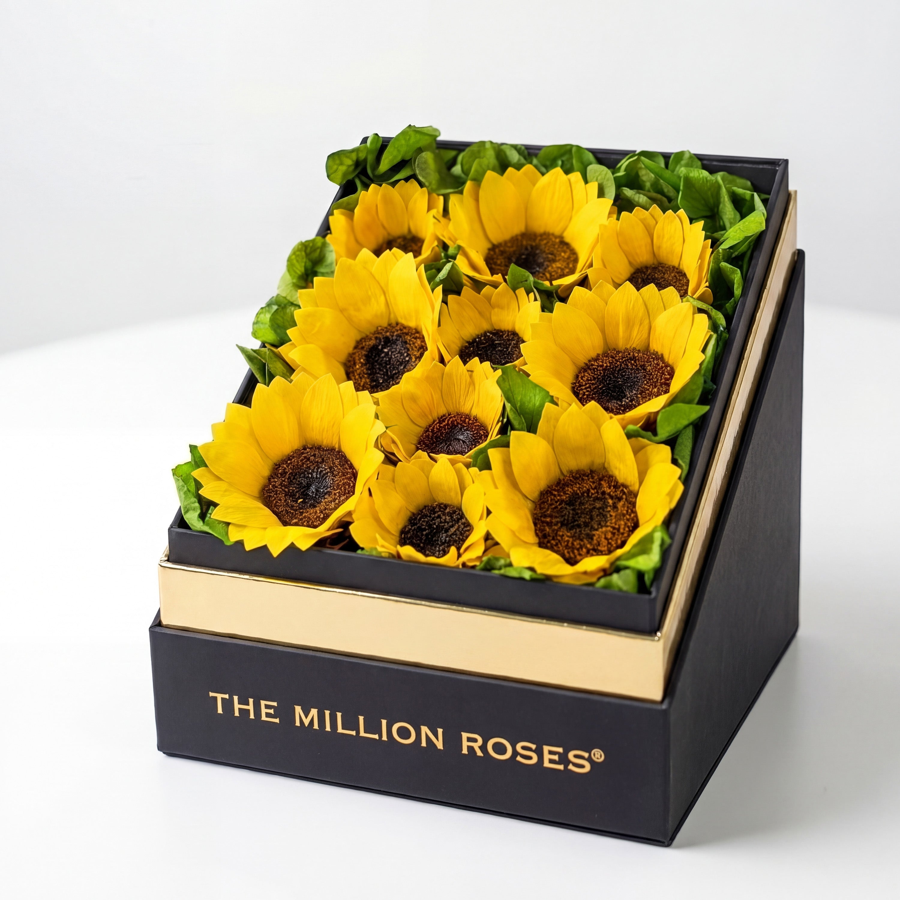 Square Black Box | Sunflowers