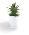 Terra Lightweight Planter Fiber Series