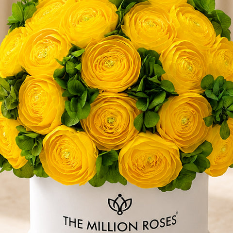 Classic White Box | Yellow Persian Buttercups & Green Hydrangeas