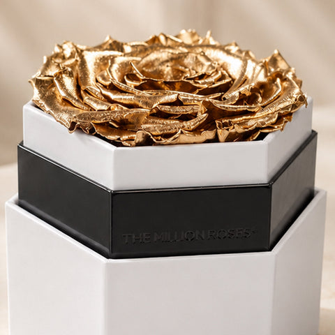 One in a Million™ White Hexagon Box | Gold Rose